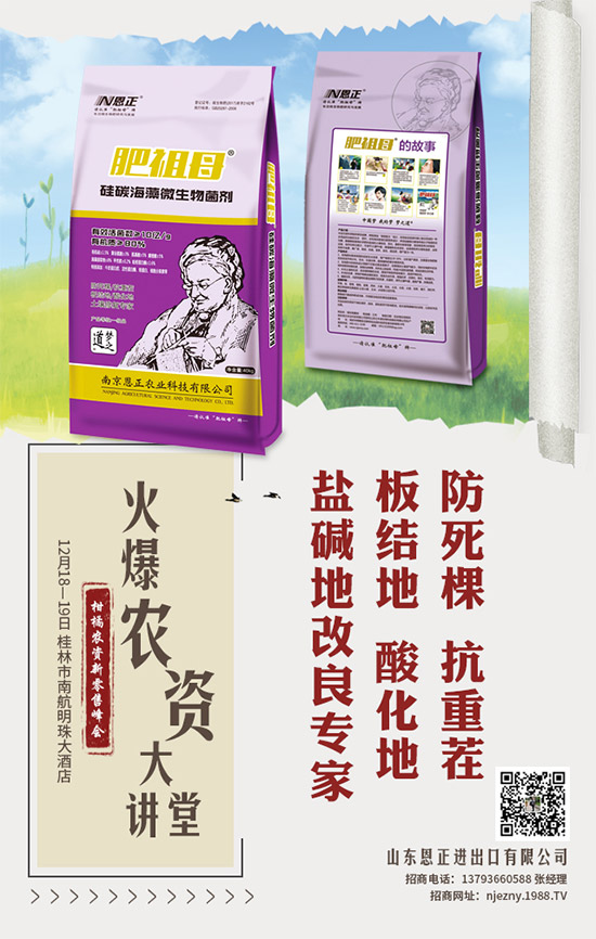 萵筍什么時間種植?萵筍播種期增產措施!