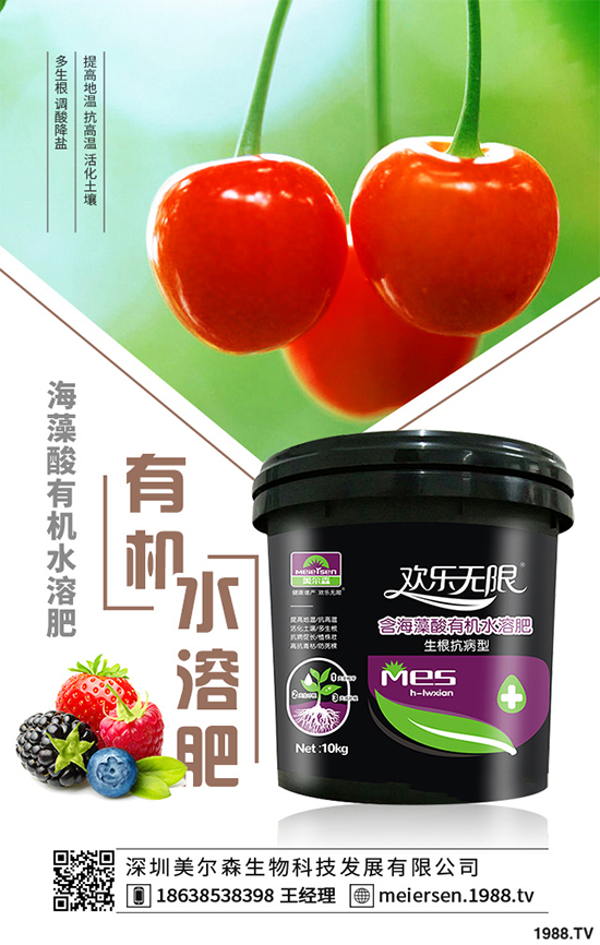 楊梅的品種有哪些?該如何栽培?春季楊梅種植技術