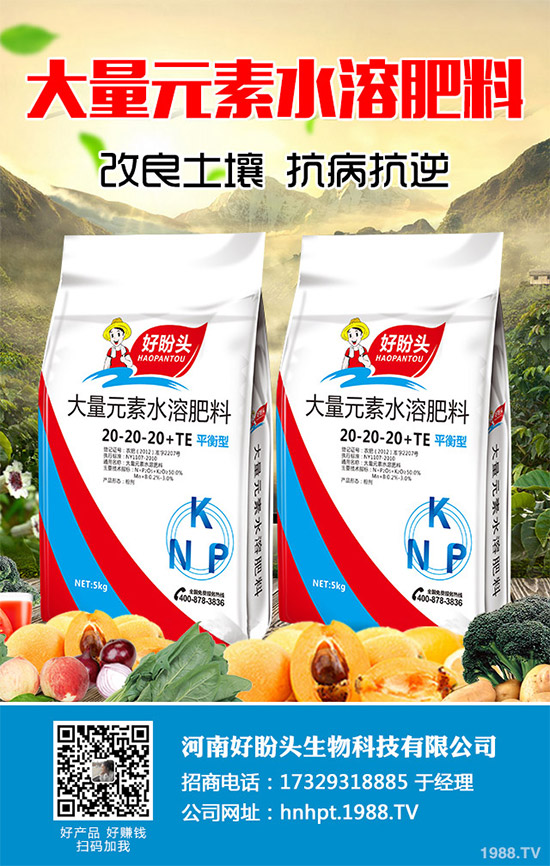 無花果有哪些營養價值?無花果的功效作用及食用禁忌