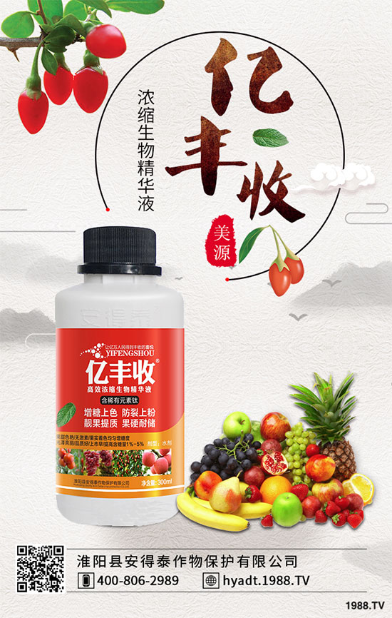 西葫蘆栽培品種有哪些? 西葫蘆的生長習性!