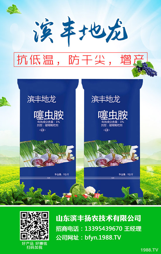 當前小麥主要病蟲害發生情況!小麥一噴多防治什么病?防治技術及注意事項!