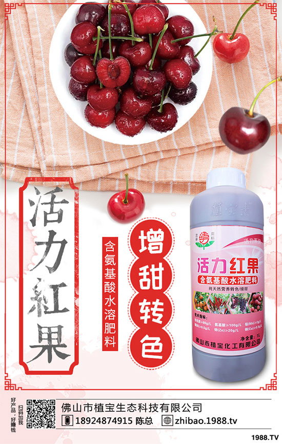 金銀花畝產量是多少?金銀花高產種植技術