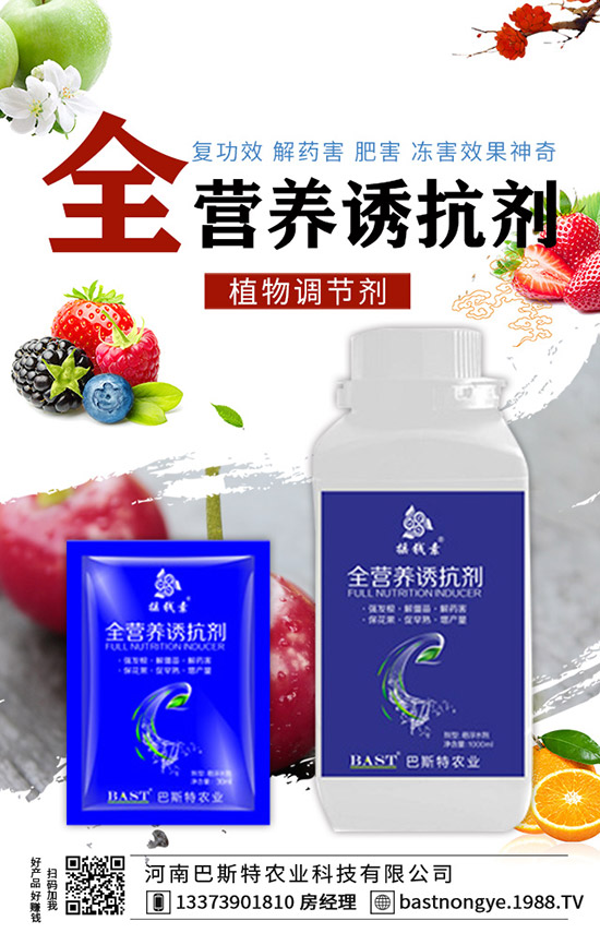 結(jié)球甘藍(lán)怎么施肥，結(jié)球甘藍(lán)的施肥技術(shù)！