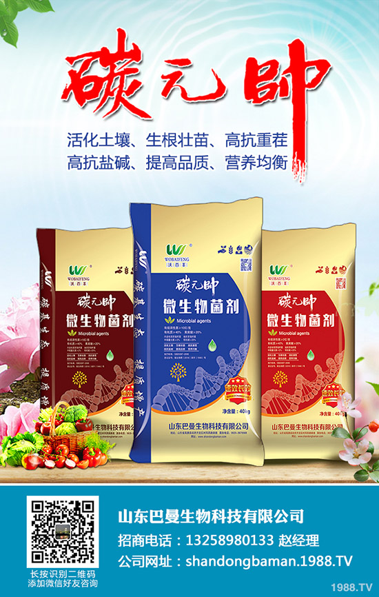 小麥干麥頭、死麥穗怎么辦?白穗、干穗、死穗的原因大全!如何預防?