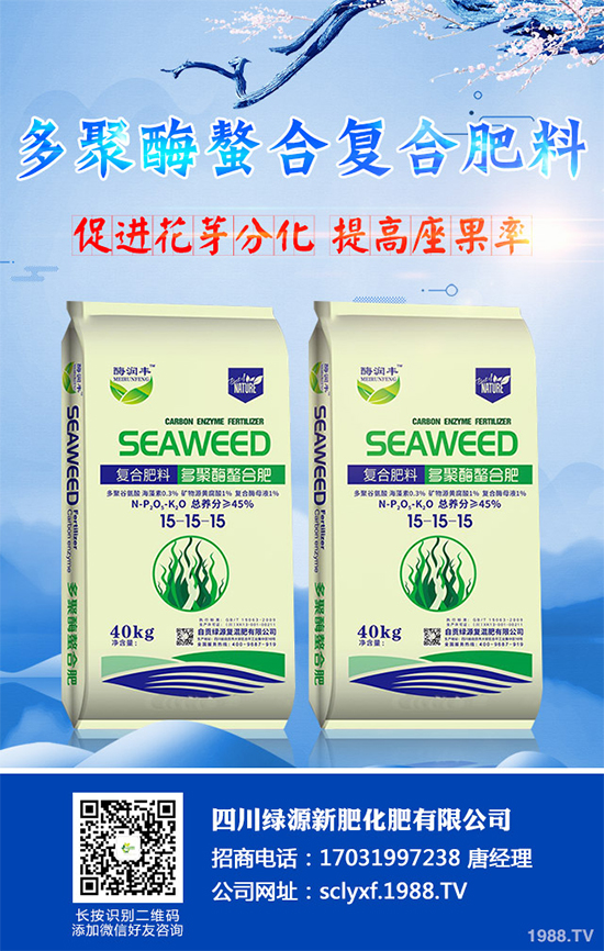 向日葵什么時候播種?該如何管理?高產向日葵高產種植管理技術