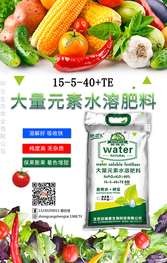 仙人球這樣養才不會死!金琥繁殖及栽培養殖管理!