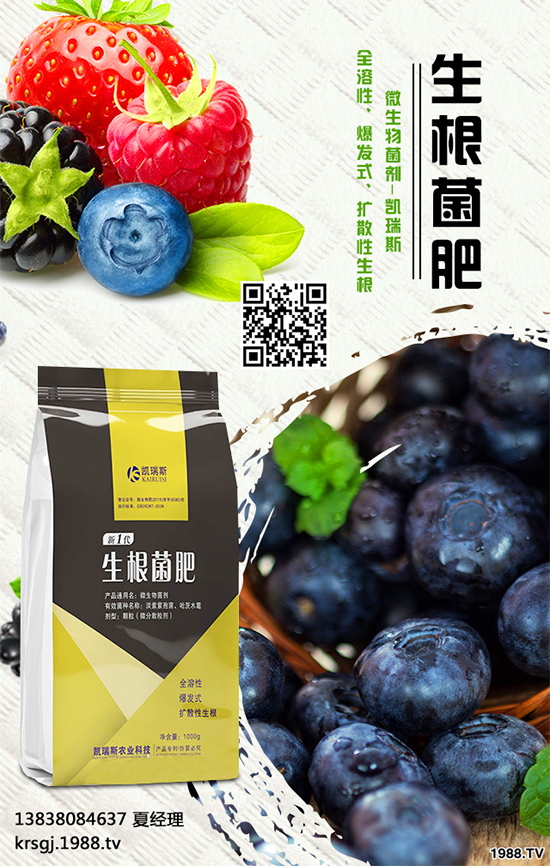 油茶屬茶科,常綠小喬木。茶油色清味香,營養豐富,耐貯藏,是優質食用油 ;也可作為潤滑油、防銹油用于工業。近年來我國各地油茶產區政府紛紛鼓勵種植油茶。那么,油茶種植到底有哪些優勢呢?