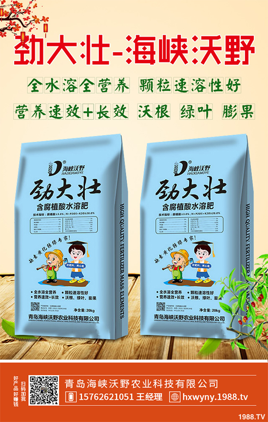 2020年黃精種植前景如何?如何種植才能獲得更高的經濟收入?