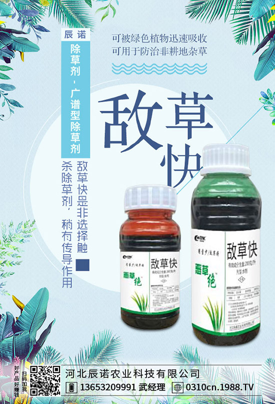 新煙堿類農藥爭議不斷,英國甜菜種植者獲得使用噻蟲的緊急批準