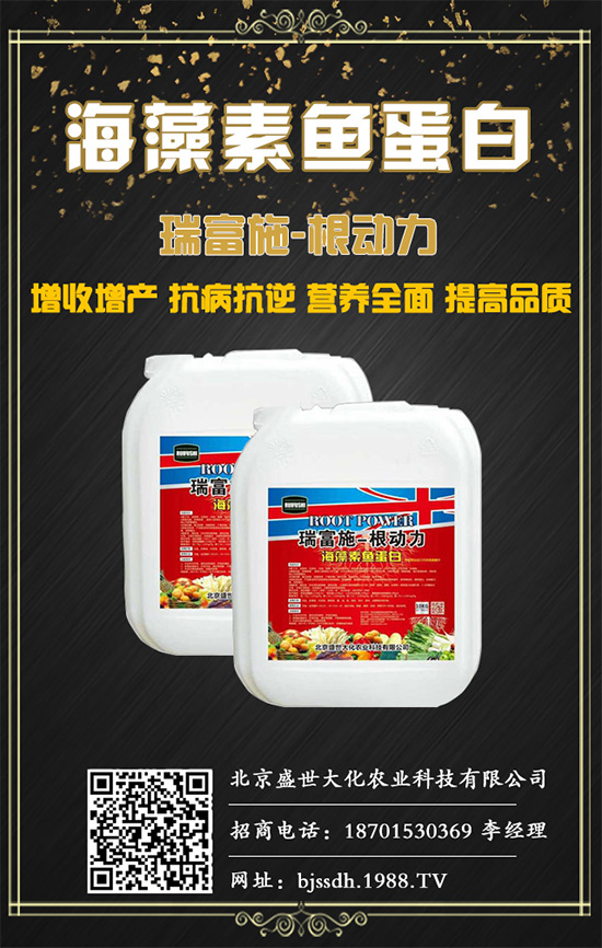 木瓜多結(jié)瓜有什么措施?木瓜常見病害及防治措施!