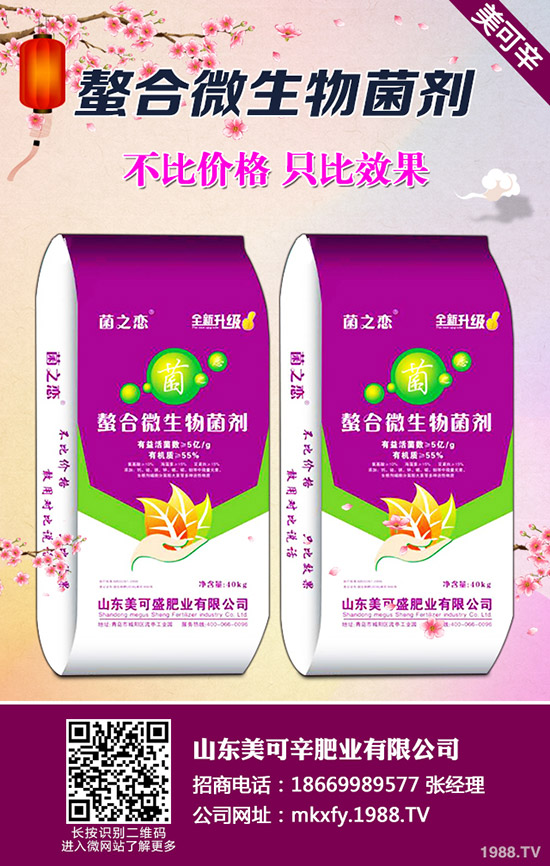 玉木耳如何栽培管理?栽培季節時間!玉木耳大棚吊袋栽培管理技術!