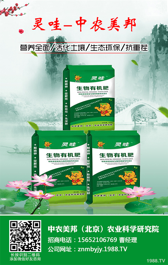 甘蔗常見病害有哪些?該如何預防?甘蔗病害的發生與防治!