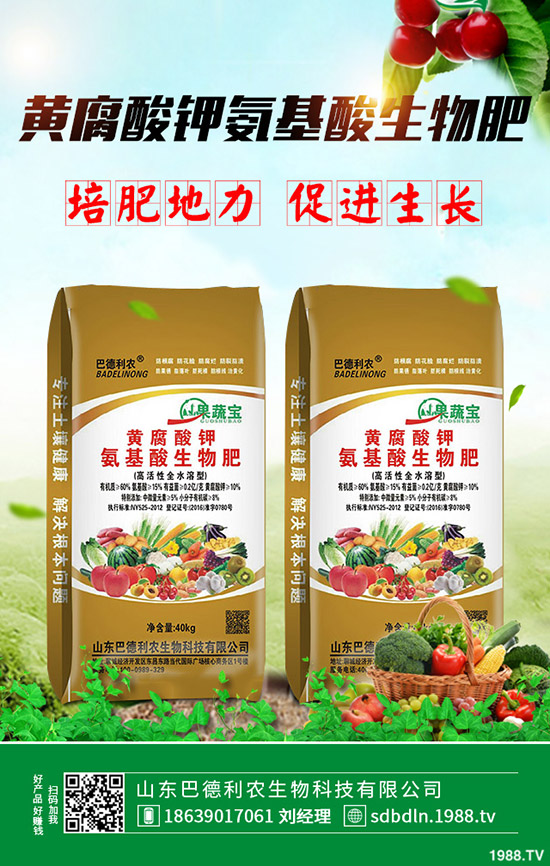 玉木耳和黑木耳區別有哪些?兩者哪個營養價值更高?功效有哪些?