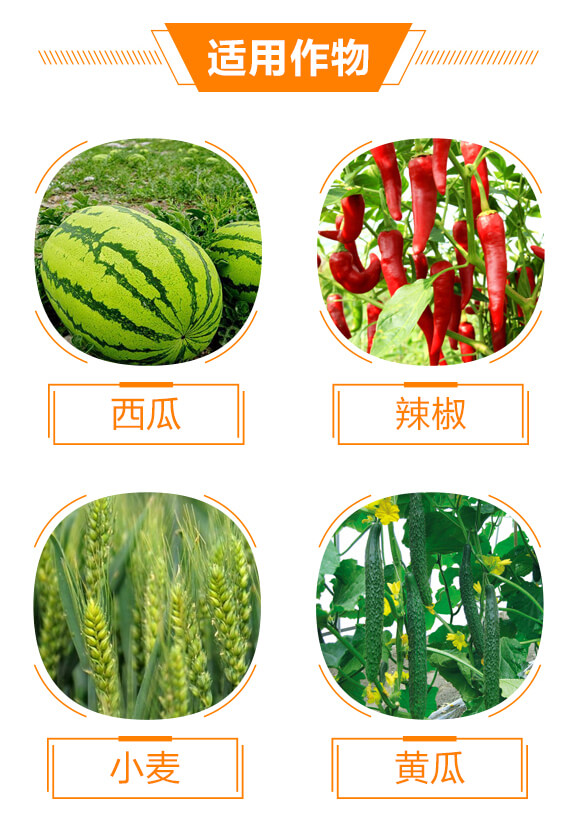 30%苯甲·嘧菌酯-凱杰-生農世澤_04