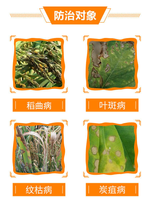 30%苯甲·嘧菌酯-凱杰-生農世澤_05