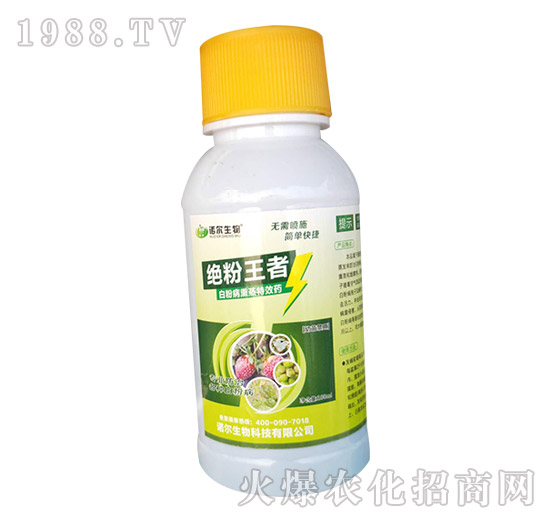 黃瓜白粉病發生嚴重,有沒有好的方法?黃瓜白粉病藥劑推薦!
