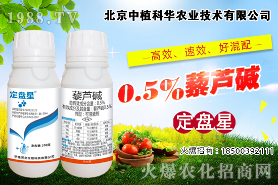 菜青蟲危害大,該怎么防治?菜青蟲專用藥劑推薦!