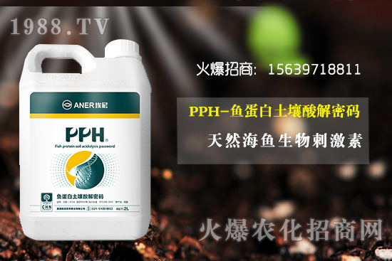 尿素價格
