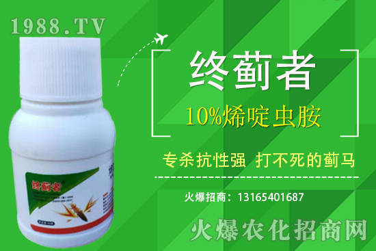 10%ϩxܴERʲôc10%ϩxʹע헣