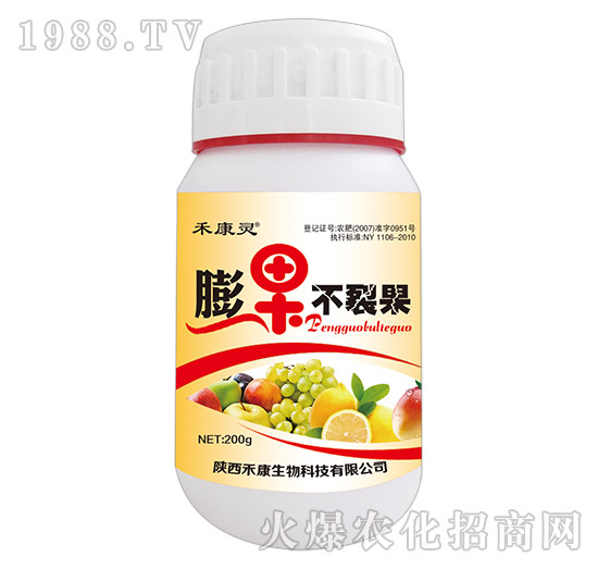 冬棗裂果發病原因與規律,冬棗裂果病的防治方案!
