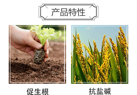 純硫基復(fù)合肥料16-11-23-歌利洋_05