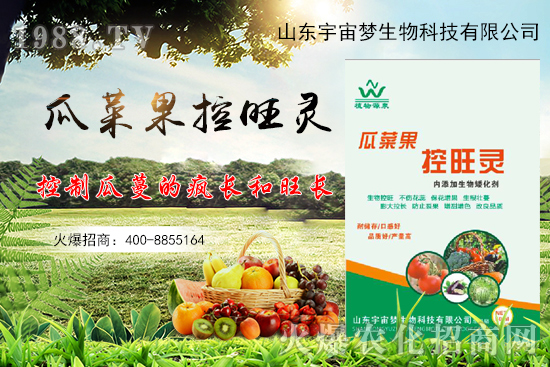 夏季高溫瓜菜果徒長,怎么解決?瓜菜果控旺產品怎么選?