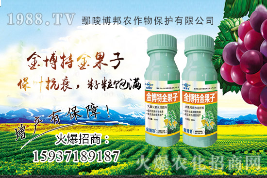 花生早衰減產嚴重該咋辦?花生早衰原因,種植戶如何避免?