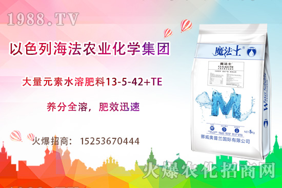 海法農業為啥這么牛?海法農業生產特色是什么?主打哪些產品?