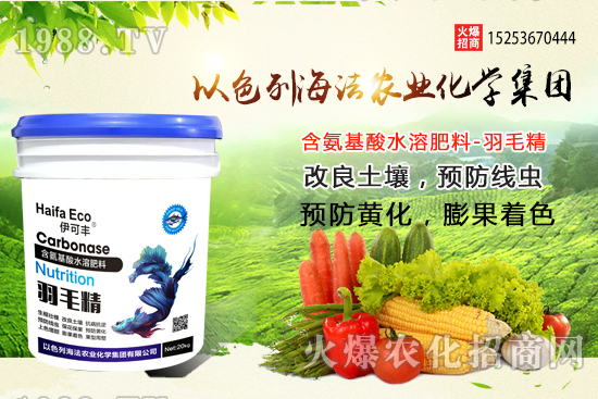 海法農業為啥這么牛?海法農業生產特色是什么?主打哪些產品?