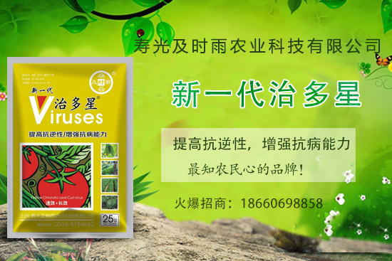 番茄病毒病你知道幾種?怎樣合理防治番茄病毒病?(內附防治方法)