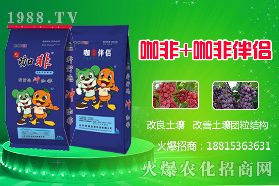 種好地沖好肥,解決作物生長難題,“咖非+咖非伴侶”開創有機水溶肥新時代!