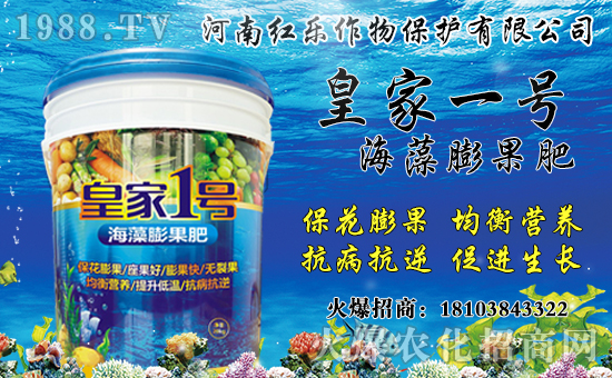 花椒產(chǎn)地主要在哪?花椒價格多少錢一斤?種植前景及效益分析!
