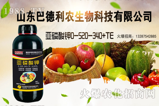 小麥價格能漲到多少錢一斤?部分地區價格行情!