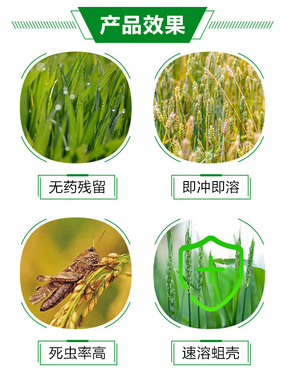 蛆蟲蝕殼劑-斗蛆-強農生物_03