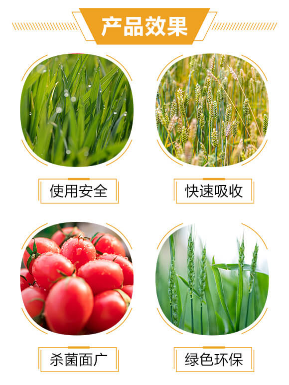 細菌速殺藥肥-聚維銅-悅地豐_04