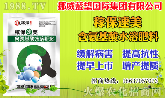 小麥價格多少錢一斤?2020年小麥價格行情及走勢!