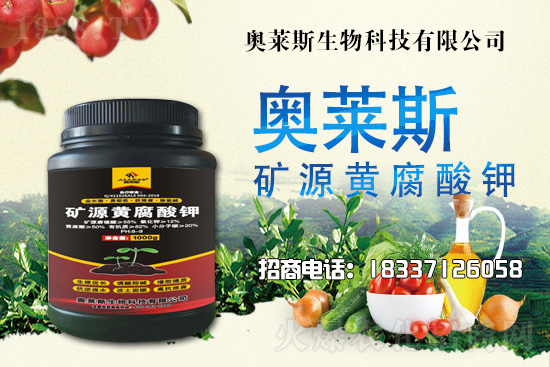 靈芝生產季節是什么時候?靈芝熟料段木仿生栽培技術!