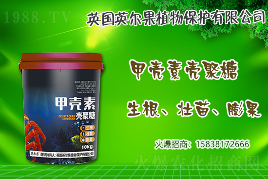 2021年不同地區春花生播種品種選擇技巧