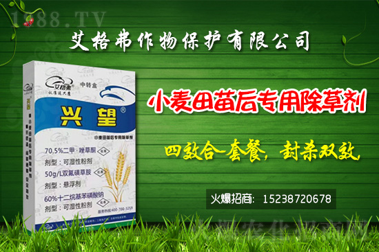 2021.5.9番茄除草劑價格