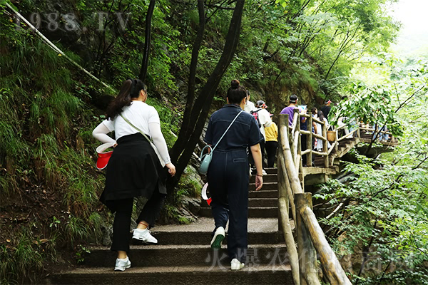 心之旅,風之行