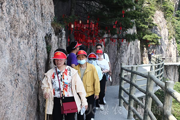 靜心之旅