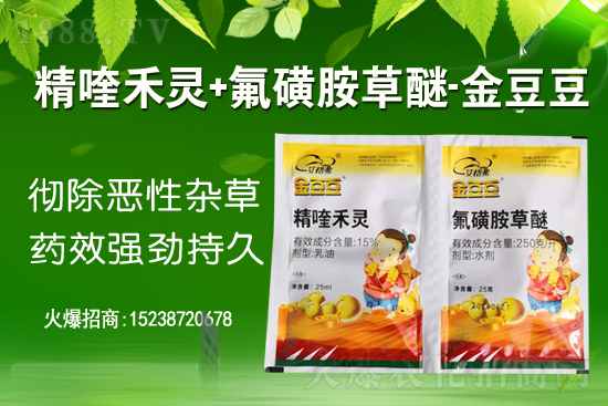 2021年7月14日國內大豆價格行情