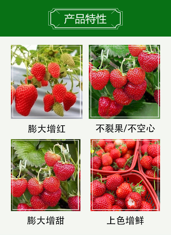 增甜著色膨大素-科創農業_03