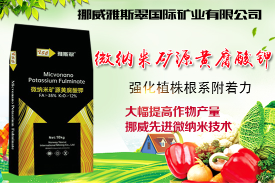 【挪威雅斯翠】祝廣大經銷商2022年虎年大吉,闔家歡樂,春節快樂!