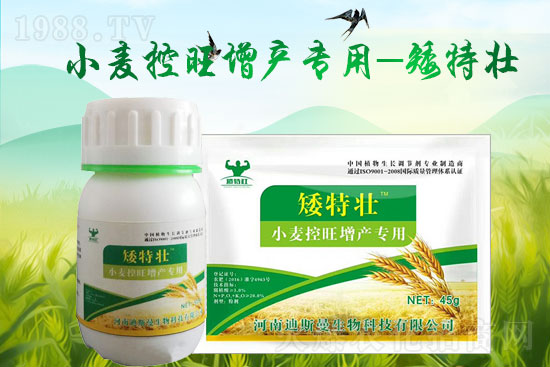 【迪斯曼】給大家拜年啦!祝大家2022年虎年大吉,闔家歡樂,春節快樂!