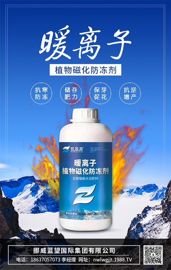Ų{ף옷꼪飡2022ؔԴLL