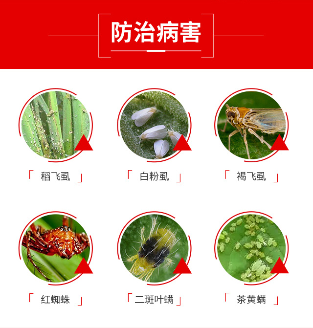 強農螨打螨算-強農_04
