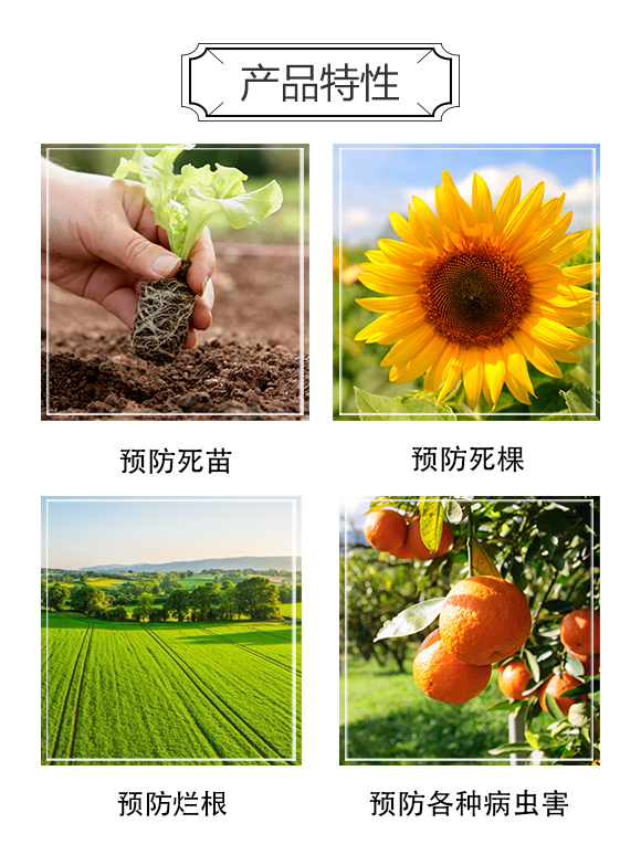 濟寧鴻源生物科技有限公司-微生物菌肥_04