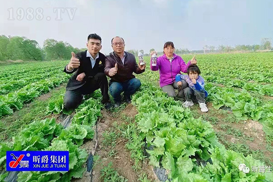 作物落花落果、座果低不用急!激發(fā)潛能,促花座果的秘訣在這!