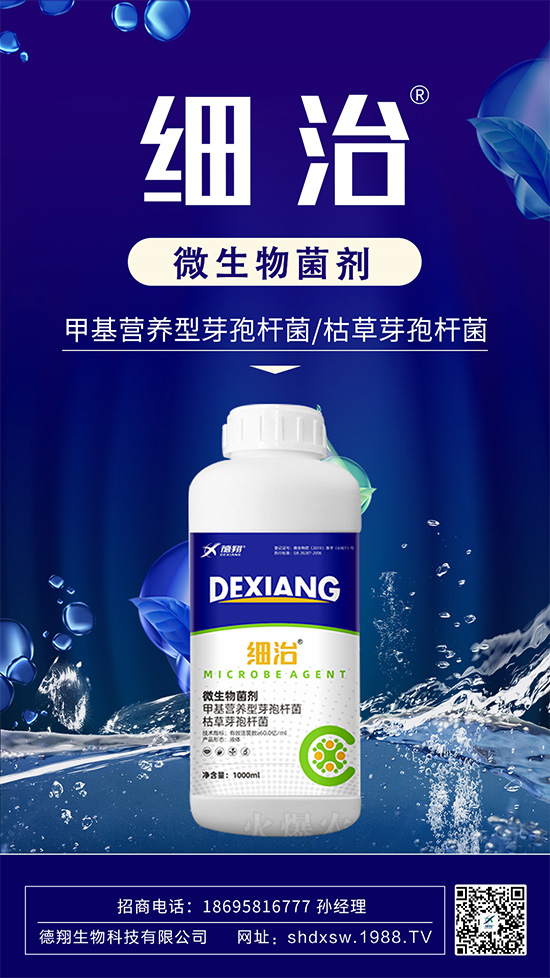 如何有效防治柑橘瘡痂病?柑橘瘡痂病為害及防治藥劑推薦!